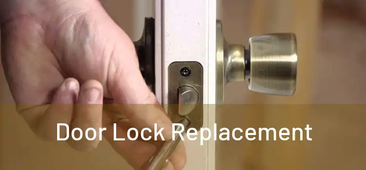  Door Lock Replacement 